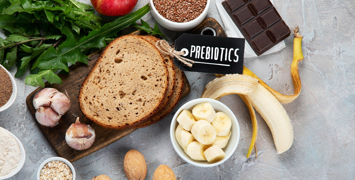 Prebiotics and Fiber 