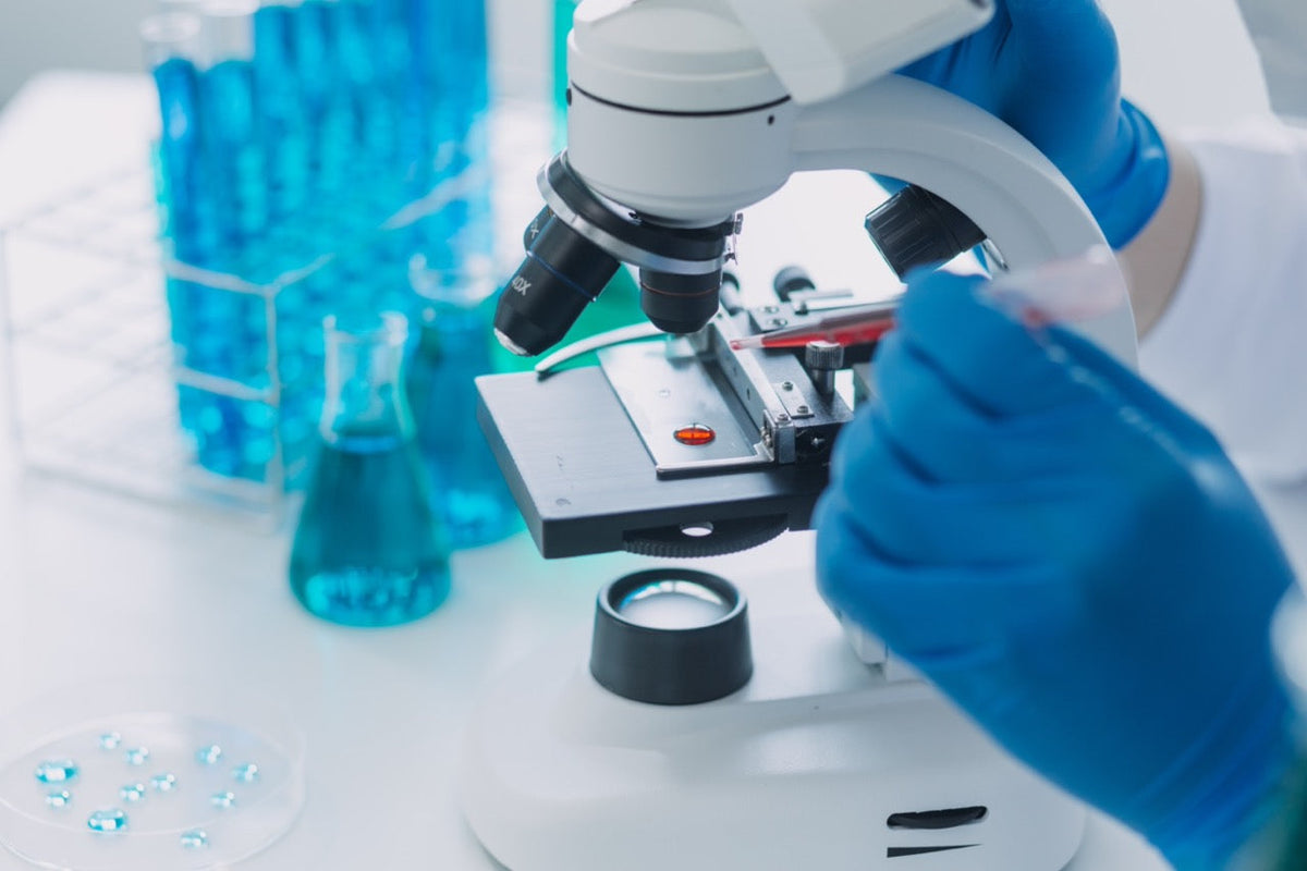 The Winding Road of Science, Part 2 of 3