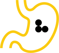 BETTER DIGESTION